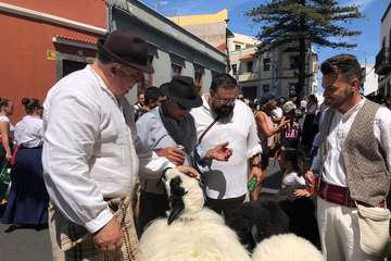 Romería ofrenda a la Virgen del Pino (Foto TA y Antonio Alí)